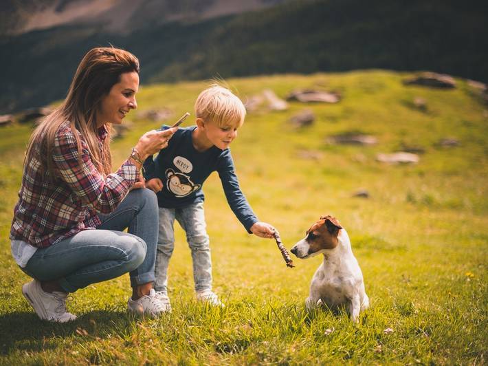 Family hotel: with dog on holiday Family hotel: with dog on holiday