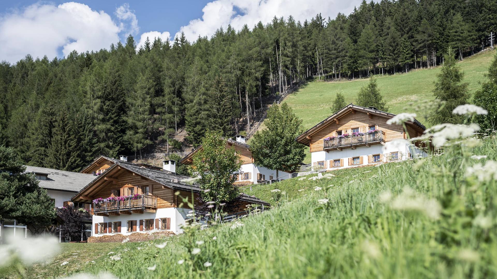 Familienalm & Almchalets Taser Alm Familienalm & Almchalets Taser Alm